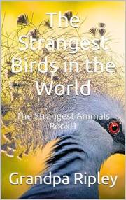 The Strangest Birds in the World: The Strangest Animals Book 1